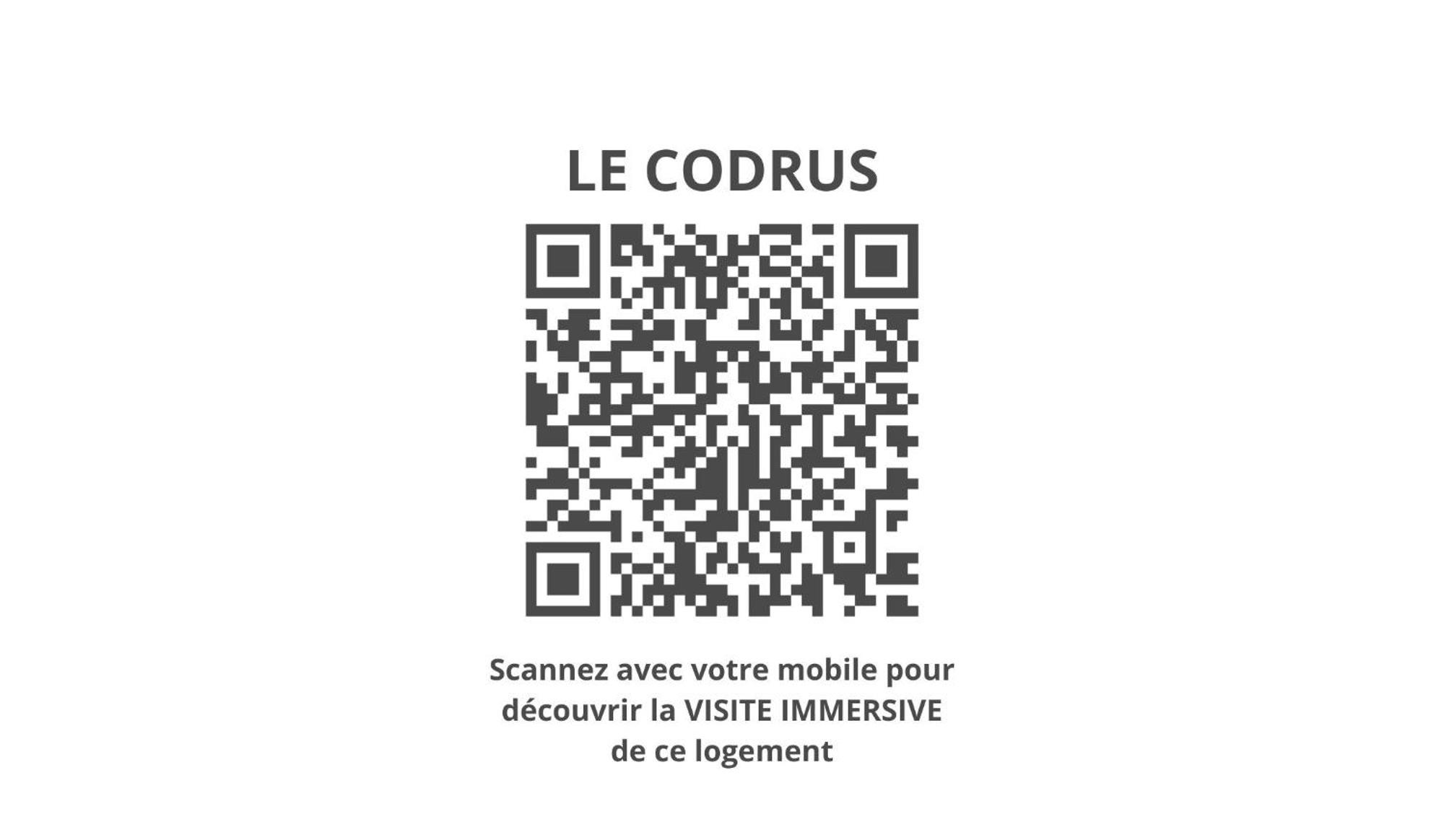 Le Codrus - Charmant Appartement Dans L'Hyper Centre Toulousain Toulouse Ngoại thất bức ảnh